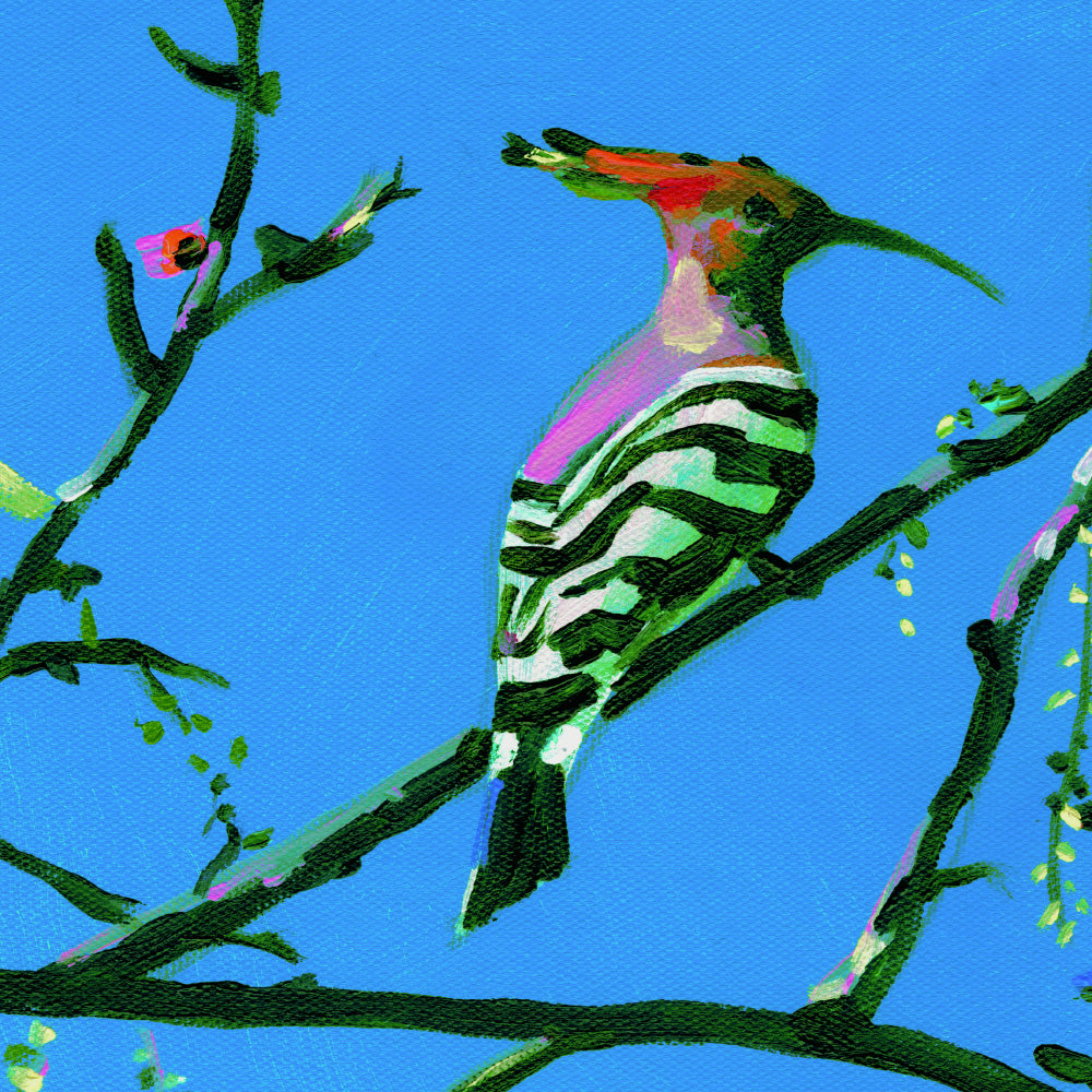 דוכיפת | הדפס דיגיטלי