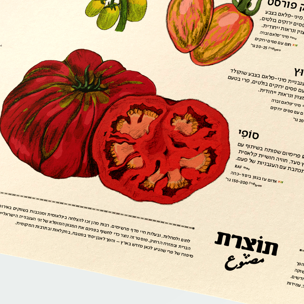 פוסטר שמש אדומה - מקרא עגבניות