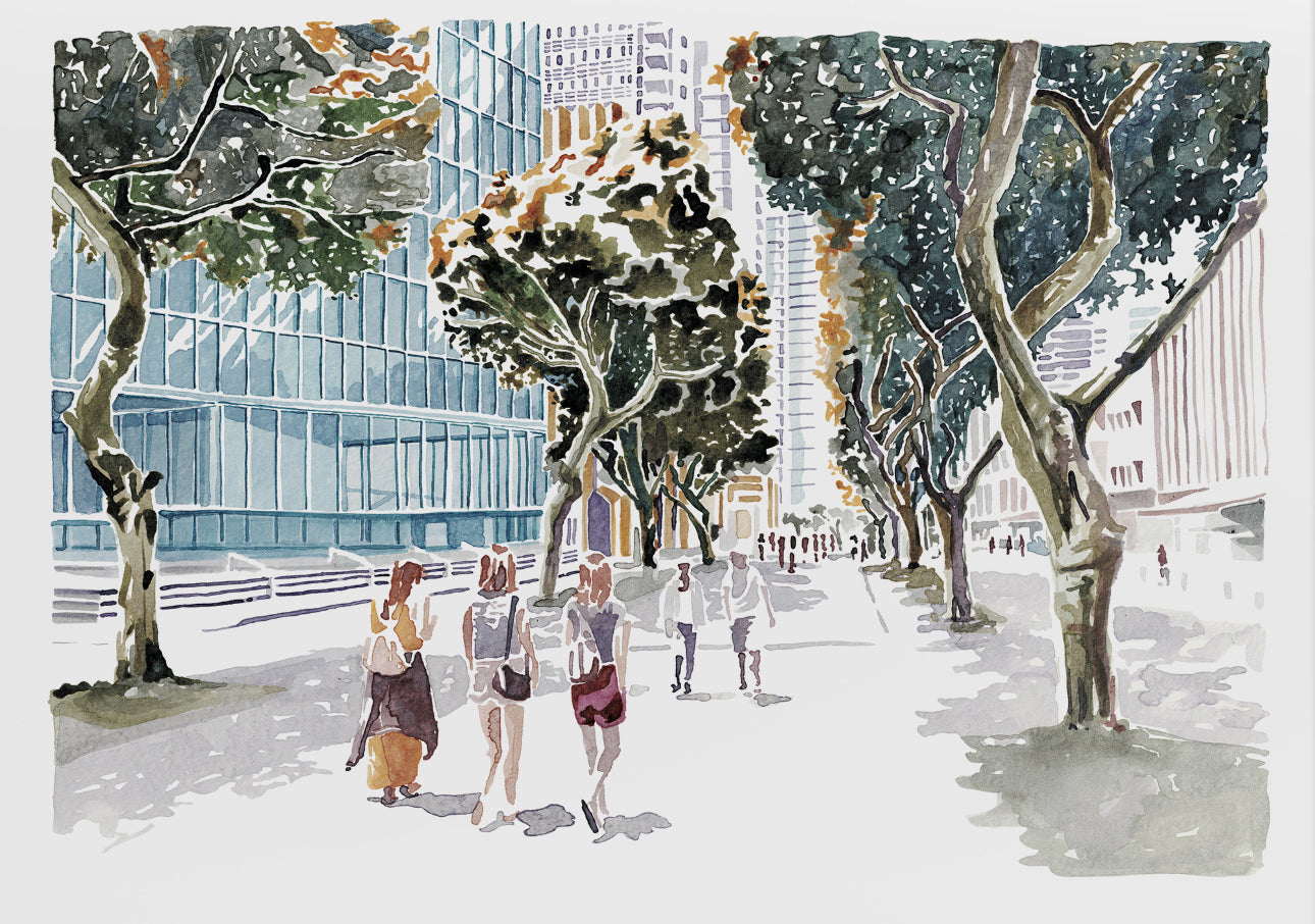 שדרות רוטשילד