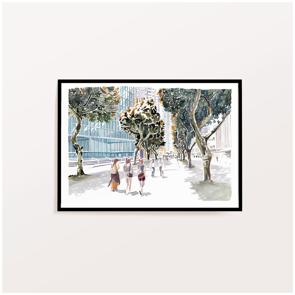 שדרות רוטשילד