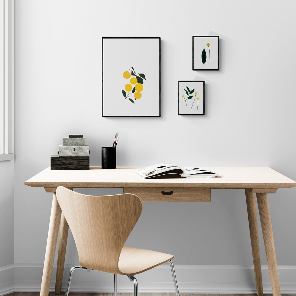 פרח קרספדיה #1