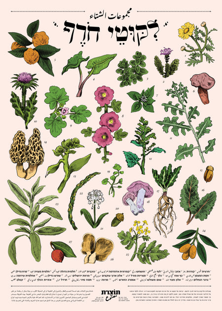 ליקוטי חורף