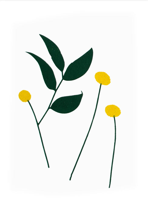 פרח קרספדיה #2