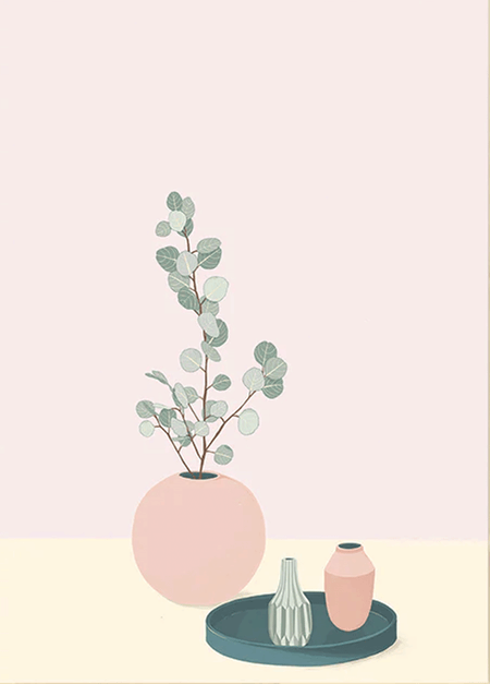 אקליפטוס בואזה