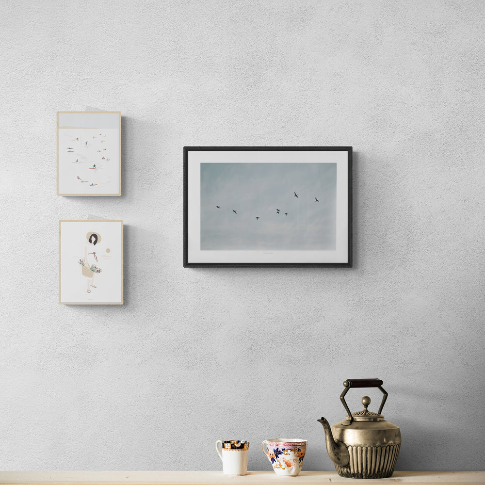 ציפורים עפות