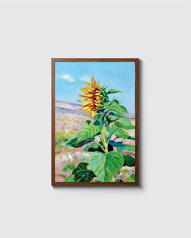 חמניה | הדפס דיגיטלי