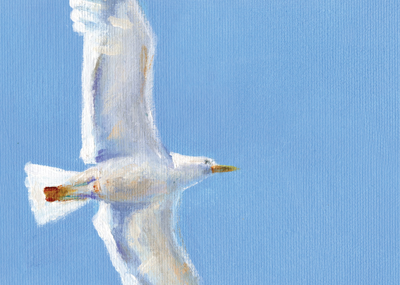 שחף | הדפס דיגיטלי