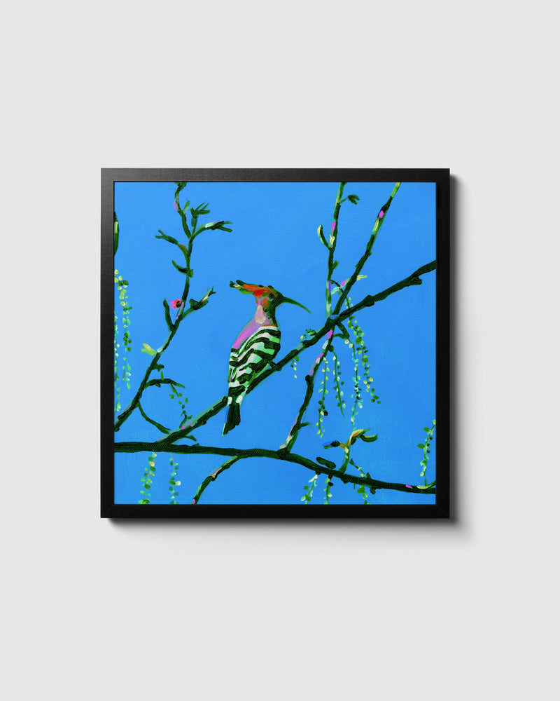 דוכיפת | הדפס דיגיטלי