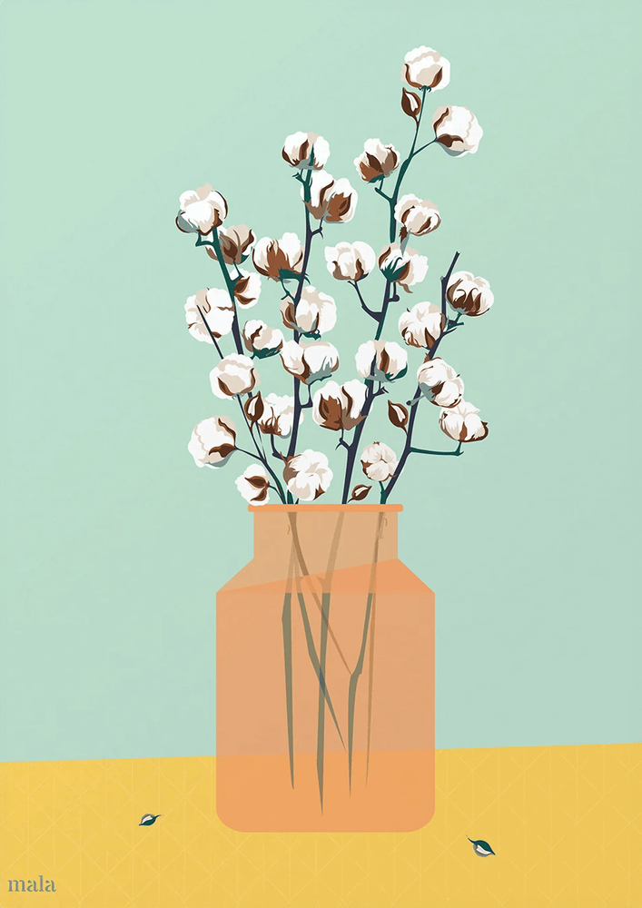 כותנה בואזה כתומה