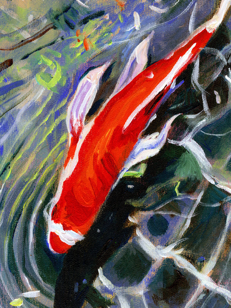 דג זהב | הדפס דיגיטלי