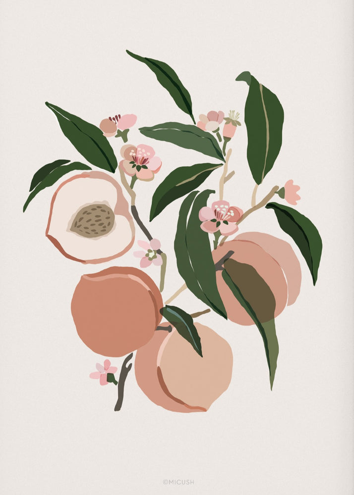 ענף אפרסקים