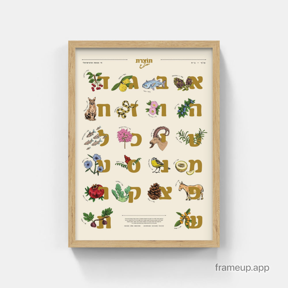 א'-ב' של הבר והצומח