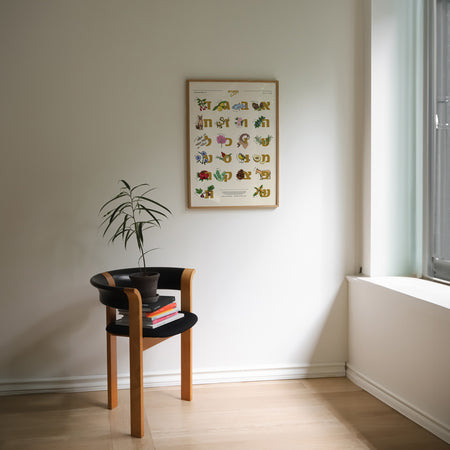 א'-ב' של הבר והצומח