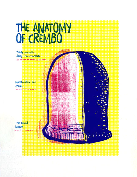 אנטומיה של קרמבו