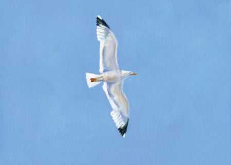 שחף | הדפס דיגיטלי