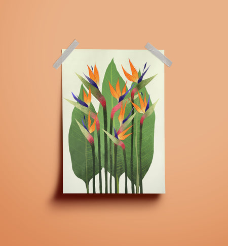 ציפור גן עדן