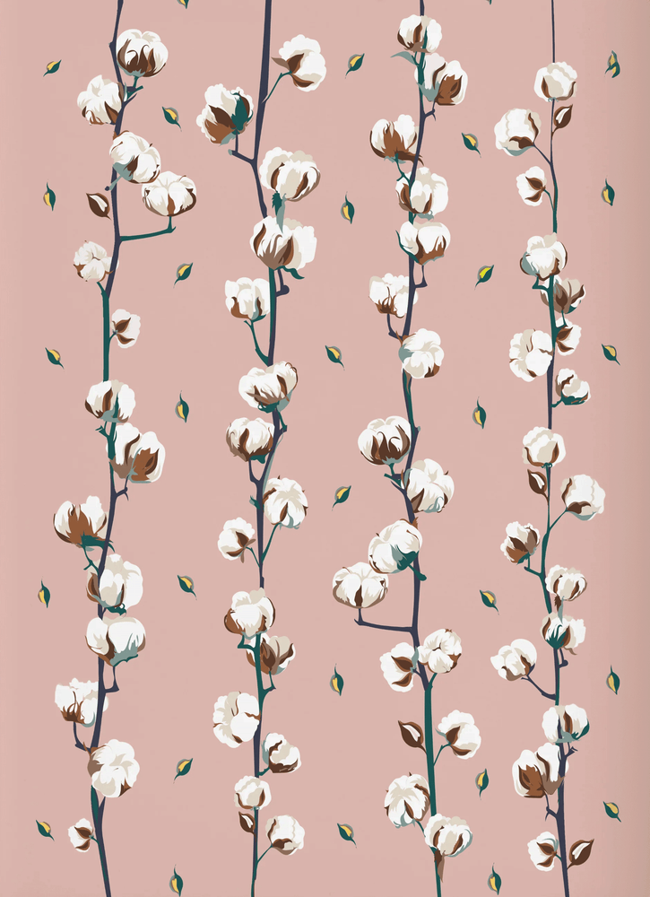 פאטרן כותנה ורודה