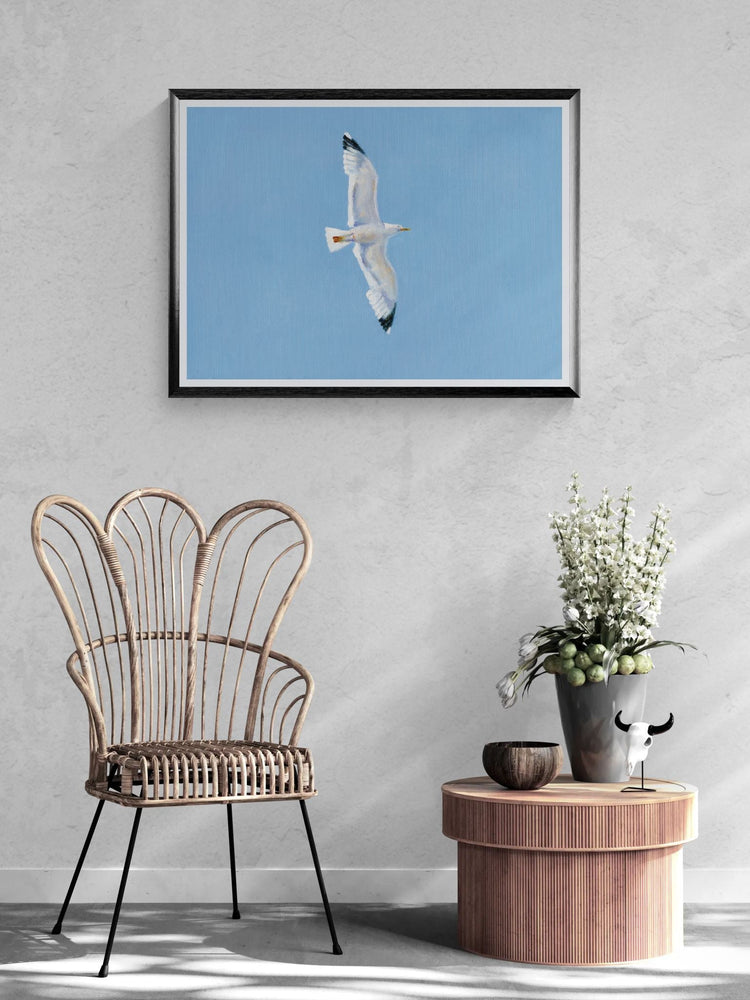 שחף | הדפס דיגיטלי