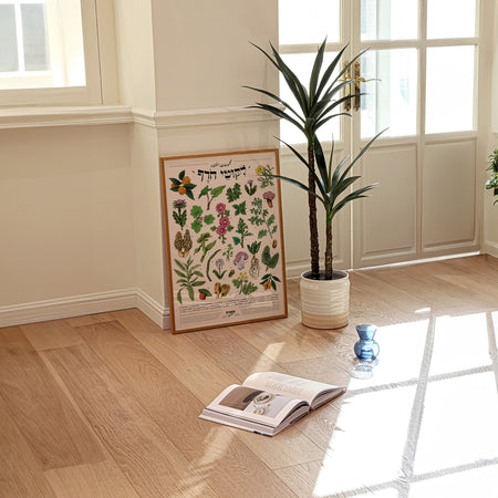 ליקוטי חורף