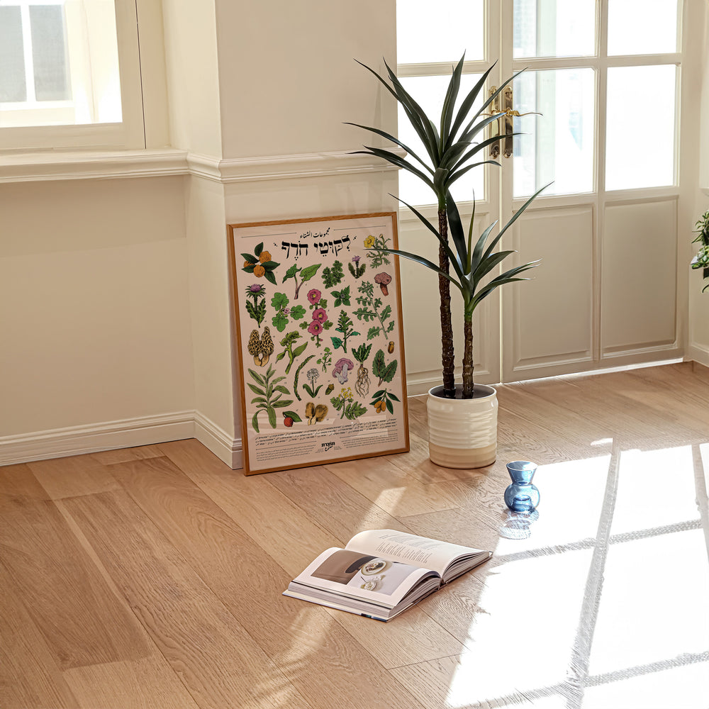 ליקוטי חורף