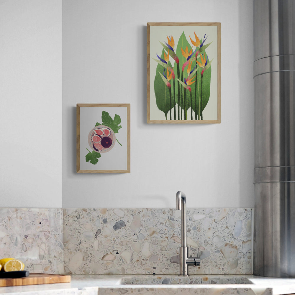 תאנים ורודות