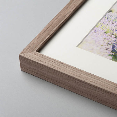 תוספת - פספרטו